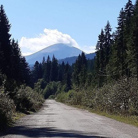 Говерлянка Villa Vorochta Buitenkant foto