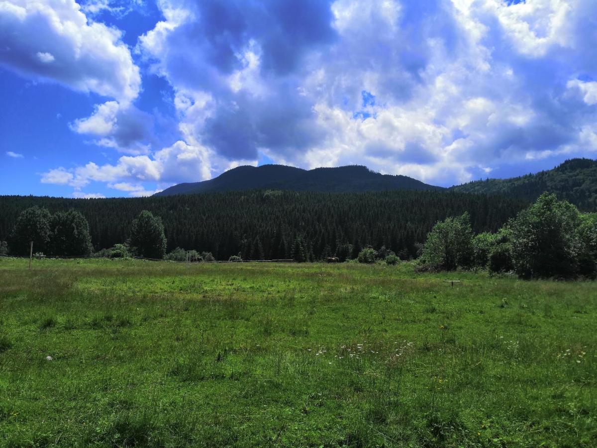 Говерлянка Villa Vorochta Buitenkant foto