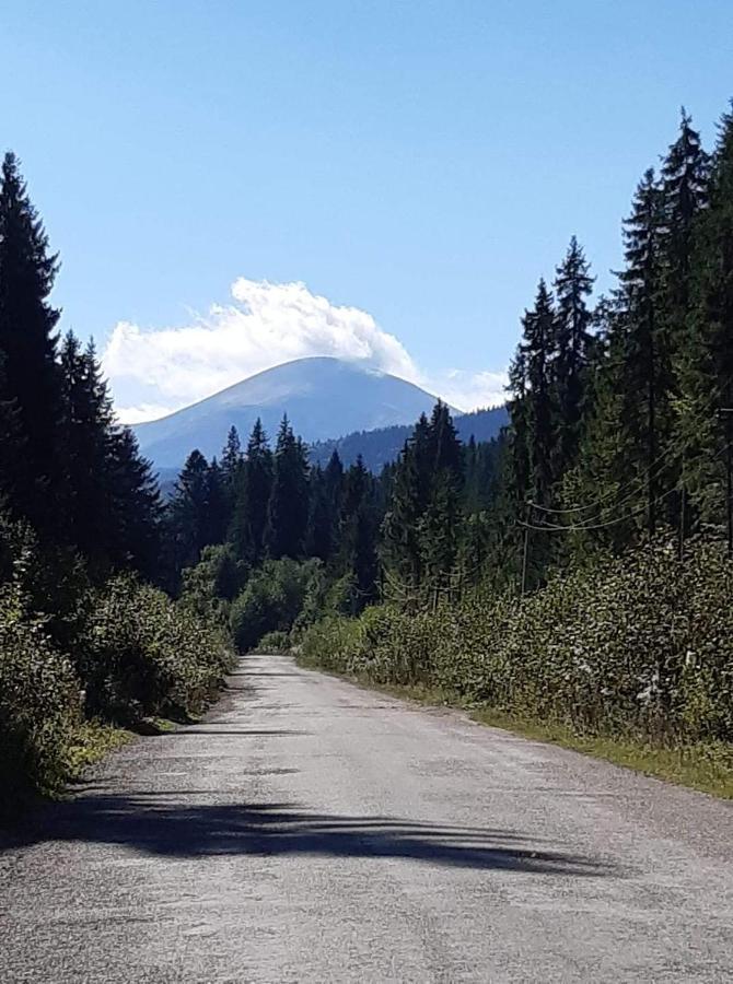 Говерлянка Villa Vorochta Buitenkant foto