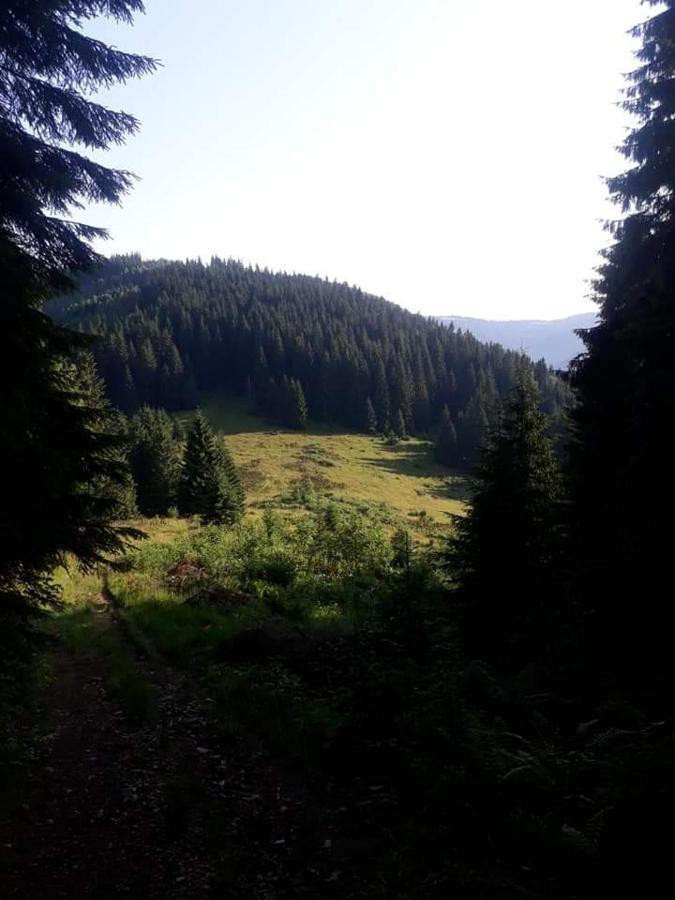 Говерлянка Villa Vorochta Buitenkant foto