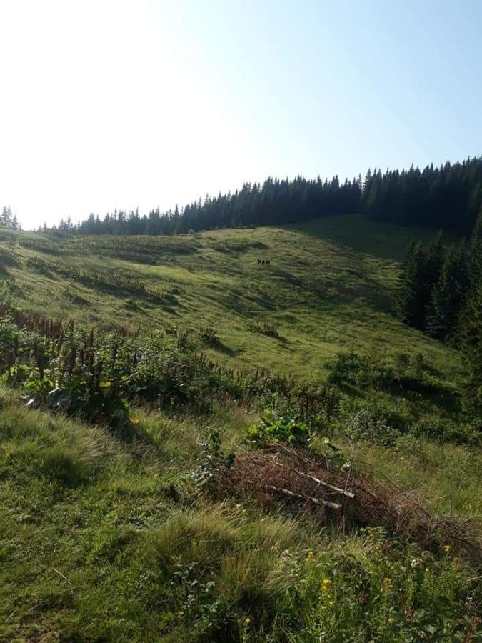 Говерлянка Villa Vorochta Buitenkant foto