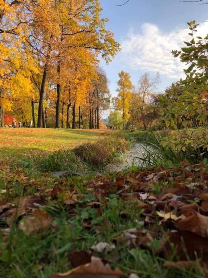 Говерлянка Villa Vorochta Buitenkant foto