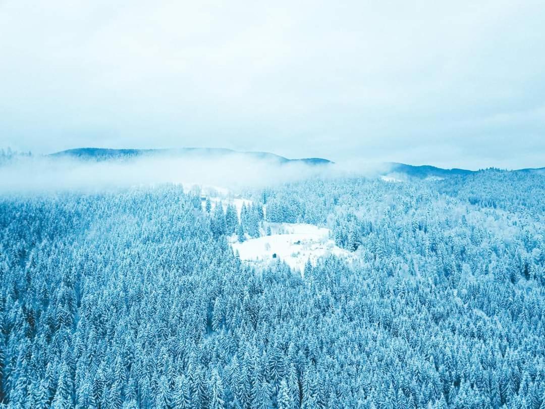 Говерлянка Villa Vorochta Buitenkant foto