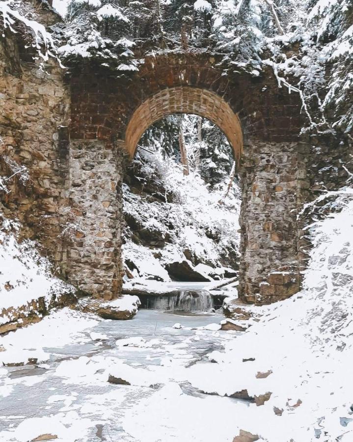 Говерлянка Villa Vorochta Buitenkant foto
