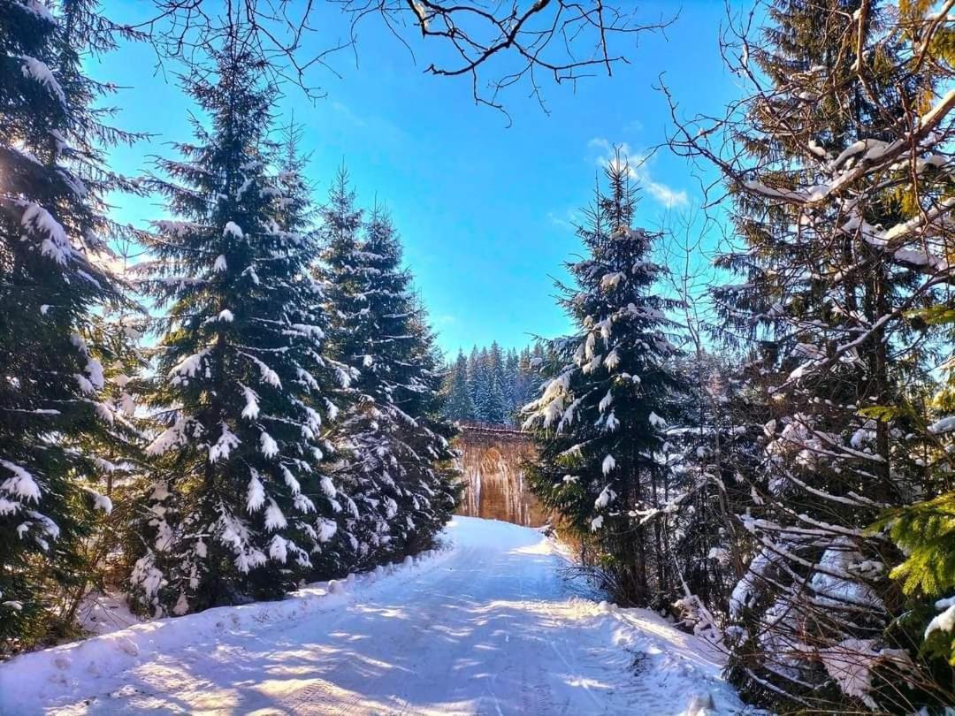 Говерлянка Villa Vorochta Buitenkant foto
