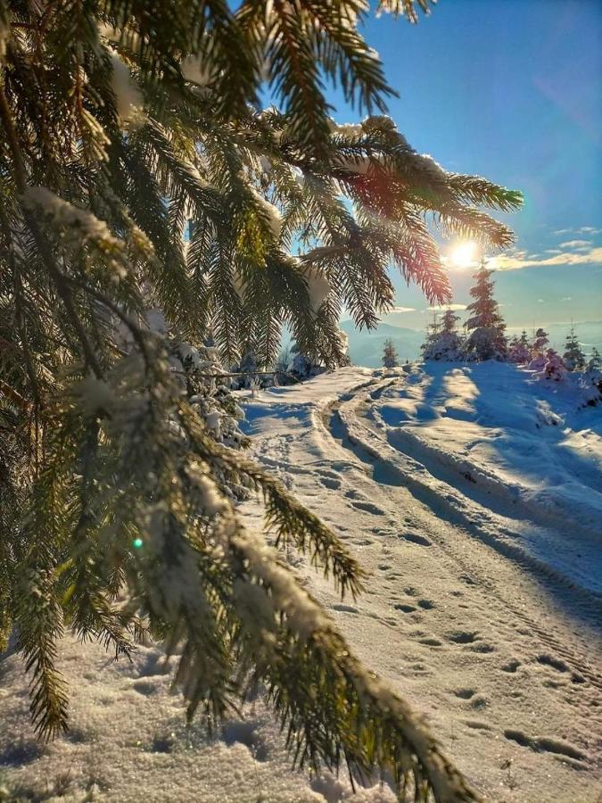 Говерлянка Villa Vorochta Buitenkant foto